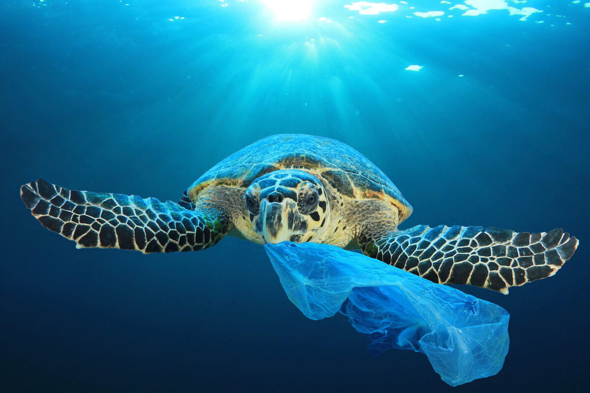 Ako sa dostáva plastový odpad do oceánov? | MAT-obaly