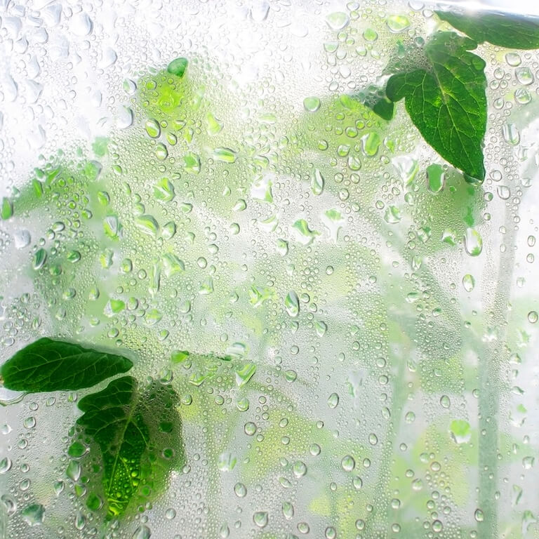 Ako vybrať fóliu na fóliovníkMAT-obaly